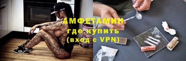 шишки Михайловск