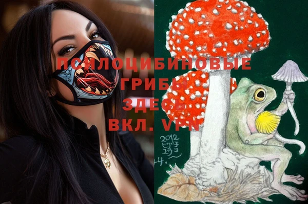 твердый Медвежьегорск
