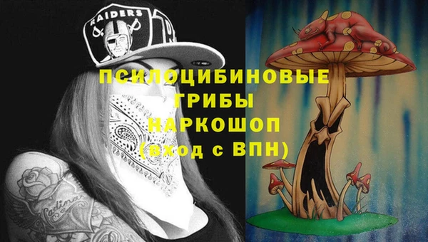 хмурый Михайлов