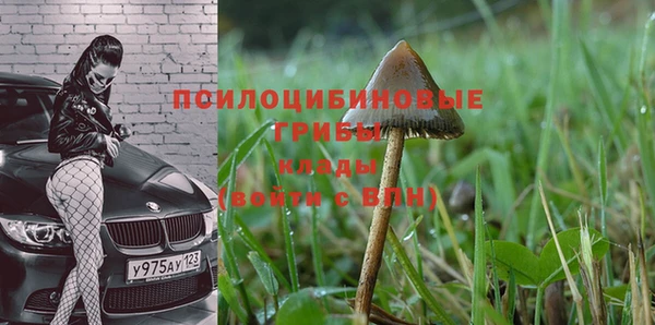 хмурый Михайлов