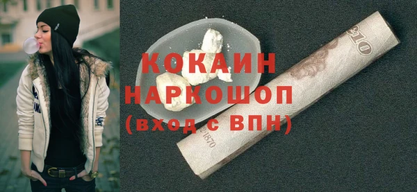 шишки Михайловск