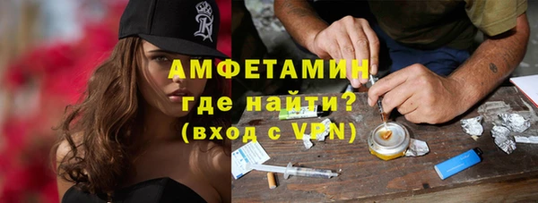 шишки Михайловск